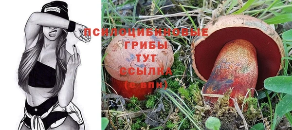 мдпв Абдулино