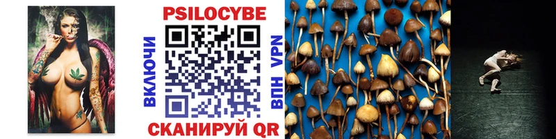 Галлюциногенные грибы Psilocybine cubensis  Чита 